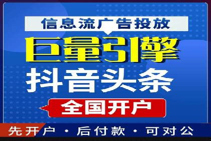 抖音信息流代理在电商行业的应用案例分析